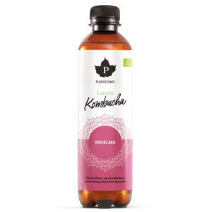 Puhdistamo Kombucha BIO 370ml raspberry (Bio Kombucha malina)