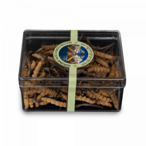 Divoký CORDYCEPS Sinensis pravý (Bhútán) 5g (20-25ks) (A+)