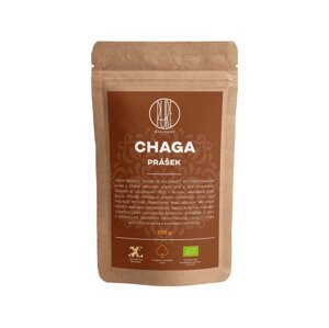 BrainMax Pure Chaga prášek, BIO 100g
