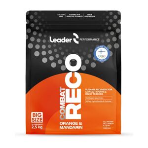 Leader Reco Combat 2,5 kg pomeranč mandarinka (Po výkonu - bojové a kontaktní sporty)