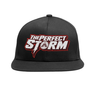 BJP Snapback The Perfect Storm