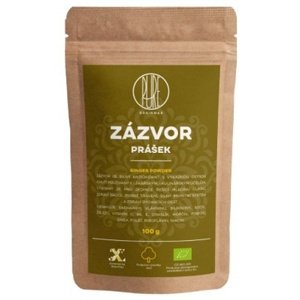BrainMax Pure Zázvor BIO prášek 100 g