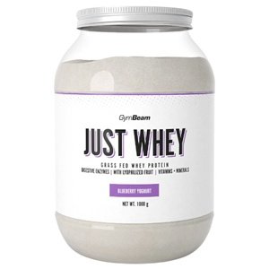 GymBeam Protein Just Whey 1000 g - borůvkový jogurt