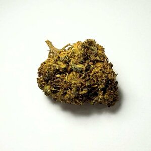 Rage Fitness THC-RF květy 1g