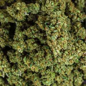 Rage Fitness CBD Květy Amnesia Haze 1g