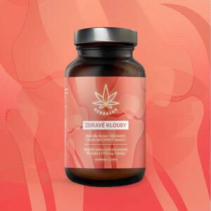 Herbalus Zdravé klouby 90 tablet